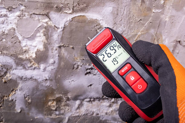 Mold Removal and Inspection in Moriarty, NM