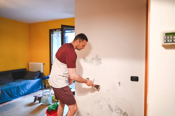 Mold Removal Process in Moriarty, NM